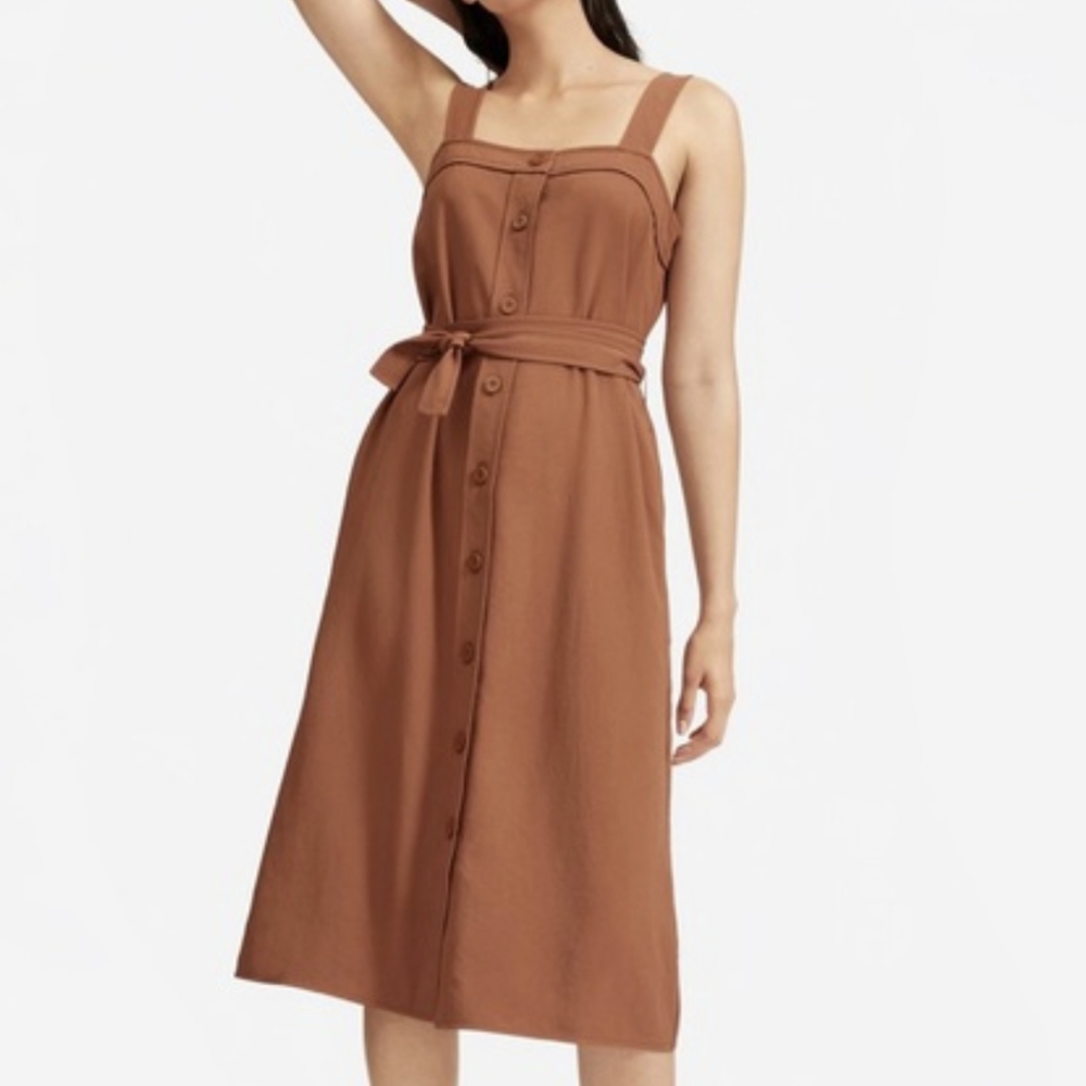 Everlane Picnic Dress